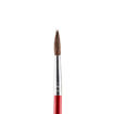 Picture of JUNIOR PAINTBRUSH ROUND